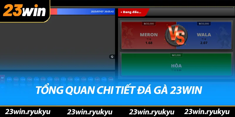 Tổng quan chi tiết đá gà 23win